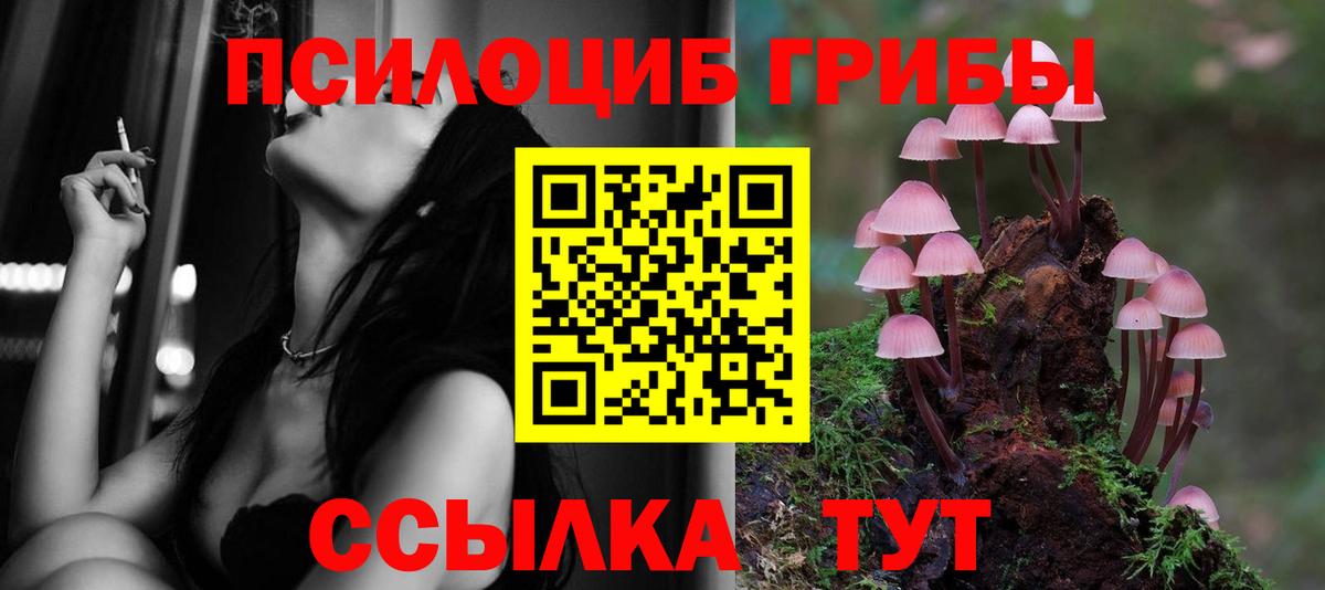 Красноярск  Псилоцибиновые грибы Psilocybe  Вход с VPN  Псилоцибиновые грибы мухоморы 